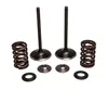 Kibblewhite Stainless Steel Conversion Intake Valve Spring Kit