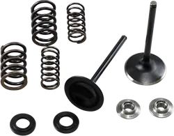 Kibblewhite Stainless Steel Conversion Intake Valve Spring Kit