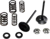 Kibblewhite Stainless Steel Conversion Intake Valve Spring Kit