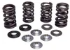 Kibblewhite  Racing Exhaust Intake Valve Spring Kit .435 Lift