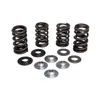 Kibblewhite  Racing Exhaust Intake Valve Spring Kit .435 Lift