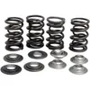 Kibblewhite  Racing Exhaust Intake Valve Spring Kit .390in Lift