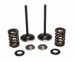Kibblewhite  Intake Valve Spring Kit