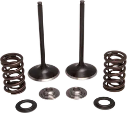 Kibblewhite  Intake Valve Spring Kit