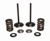 Kibblewhite  Intake Valve Spring Kit