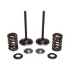 Kibblewhite  Intake Valve Spring Kit