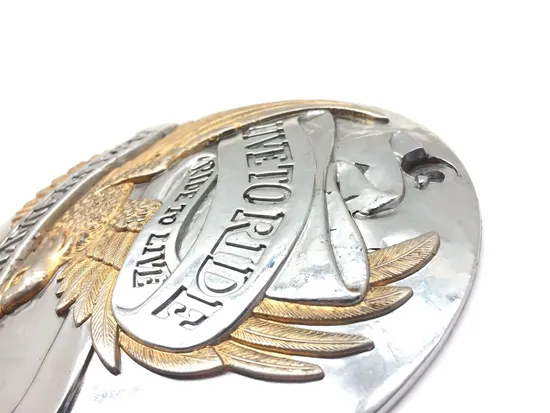 Live to Ride Primary Clutch Derby Inspection Cover 87 Harley Electra Glide 3172x