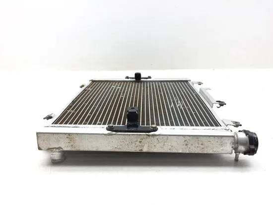 Engine Radiator Cooling 2014 Kawasaki Teryx4 800 KRT800C 4x4 LE FI 3174 x