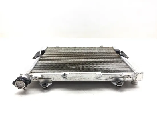 Engine Radiator Cooling 2014 Kawasaki Teryx4 800 KRT800C 4x4 LE FI 3174 x