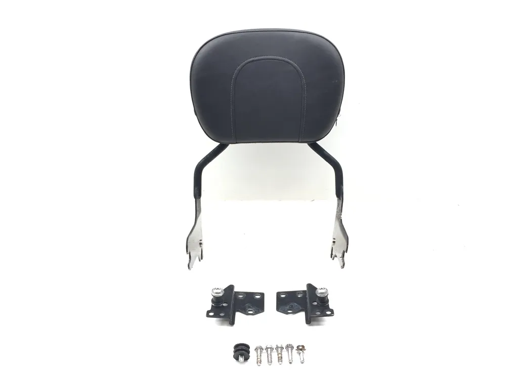 Quick Release Sissy Bar 1999 Harley-Davidson Electra Glide Classic FLHTC 3177 x