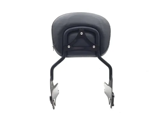 Quick Release Sissy Bar 1999 Harley-Davidson Electra Glide Classic FLHTC 3177 x