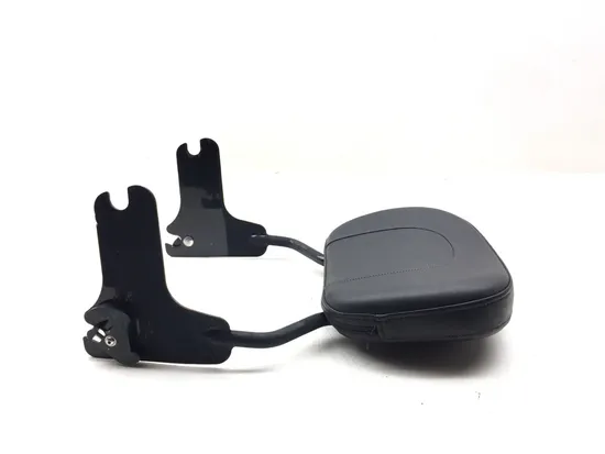 Quick Release Sissy Bar 1999 Harley-Davidson Electra Glide Classic FLHTC 3177 x