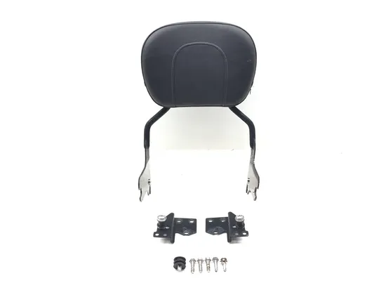 Quick Release Sissy Bar 1999 Harley-Davidson Electra Glide Classic FLHTC 3177 x