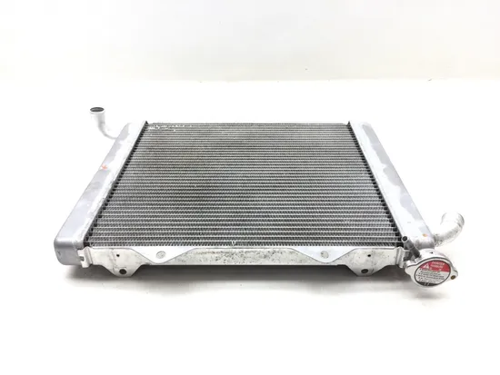 Engine Radiator Cooling 2016 Honda Pioneer 1000-5 SXS1000M5 Deluxe 3171 x