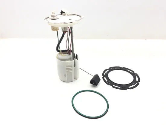 Gas Fuel Tank Pump 2016 Honda Pioneer 1000-5 SXS1000M5 Deluxe 3171