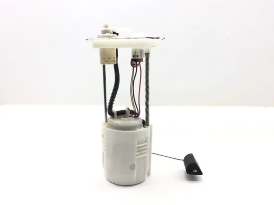 Gas Fuel Tank Pump 2016 Honda Pioneer 1000-5 SXS1000M5 Deluxe 3171