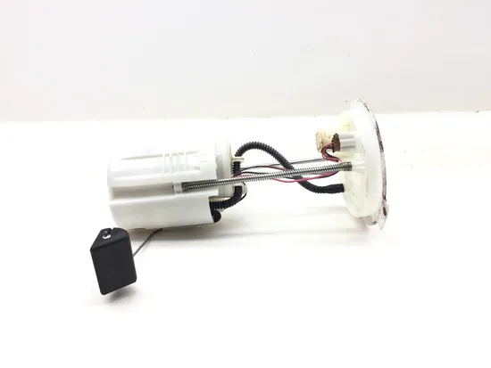 Gas Fuel Tank Pump 2016 Honda Pioneer 1000-5 SXS1000M5 Deluxe 3171