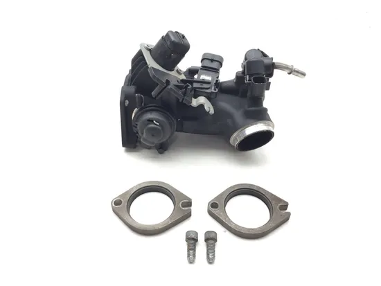 Throttle Body with Injectors 2011 Harley Heritage Softail Classic FLSTC 3178