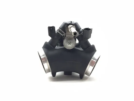 Throttle Body with Injectors 2011 Harley Heritage Softail Classic FLSTC 3178