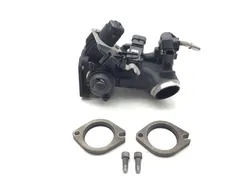 Throttle Body with Injectors 2011 Harley Heritage Softail Classic FLSTC 3178