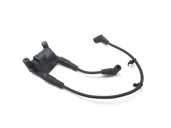 Ignition Coil Set 2011 Harley-Davidson Heritage Softail Classic FLSTC 3178