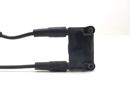 Ignition Coil Set 2011 Harley-Davidson Heritage Softail Classic FLSTC 3178