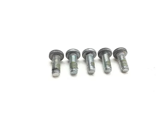 Front Brake Rotor Bolts 2011 Harley-Davidson Heritage Softail Classic FLSTC 3178