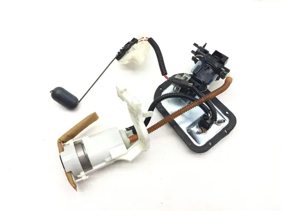 Gas Fuel Tank Pump 2011 Harley-Davidson Heritage Softail Classic FLSTC 3178