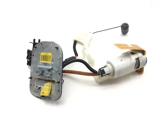 Gas Fuel Tank Pump 2011 Harley-Davidson Heritage Softail Classic FLSTC 3178