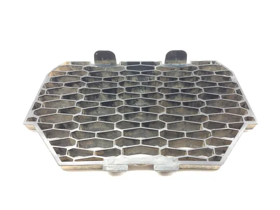 Engine Radiator Grill Guard 2017 Polaris RZR XP 1000 Veliocity Blue LE EPS 3176