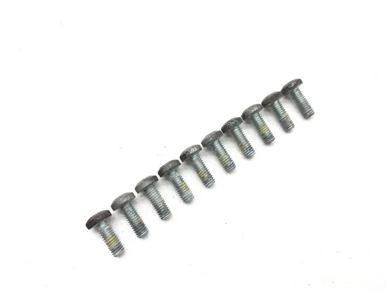 Front Brake Rotor Bolts 2006 Harley-Davidson Road King EFI FLHRI 3170