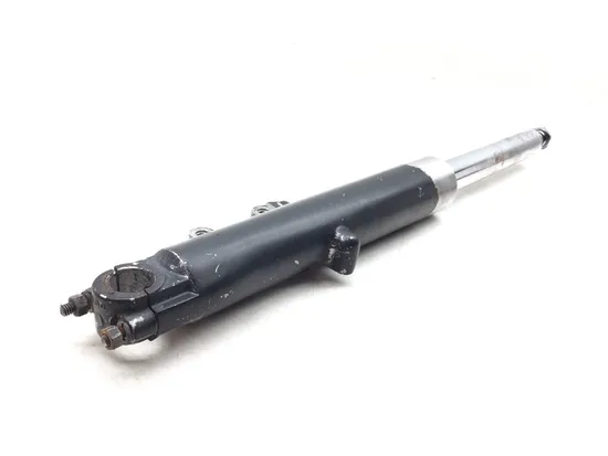 Front Forks Tubes Legs 2006 Harley-Davidson Road King EFI FLHRI 3170 x