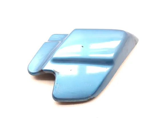 Right Side Cover 2006 Harley-Davidson Road King EFI FLHRI 3170 x