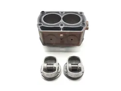 Engine Cylinder Jug W Piston 2006 Polaris Sportsman 800 Twin EFI 3180