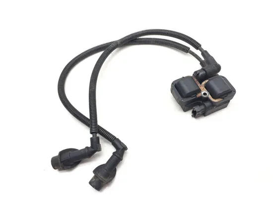 Ignition Coil 2006 Polaris Sportsman 800 Twin EFI 3180