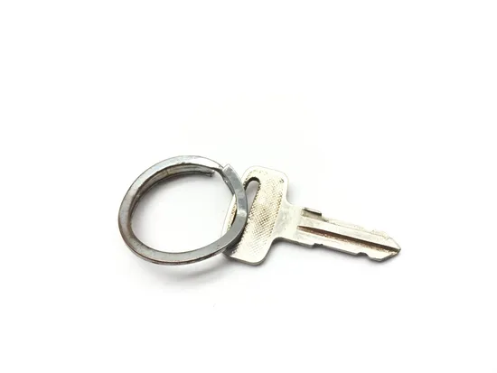 Ignition Key Switch 2006 Polaris Sportsman 800 Twin EFI 3180