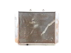 Engine Radiator Cooling 2006 Polaris Sportsman 800 Twin EFI 3180 x