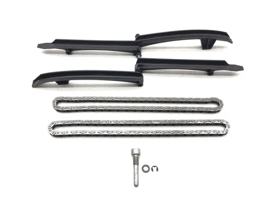 Engine Timing Chain and Guides 2007 BMW R1200GS 3149