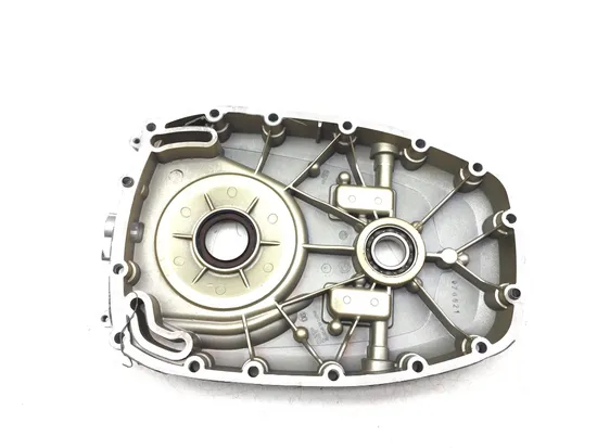 Front Case Cover 2007 BMW R1200GS 3149 x