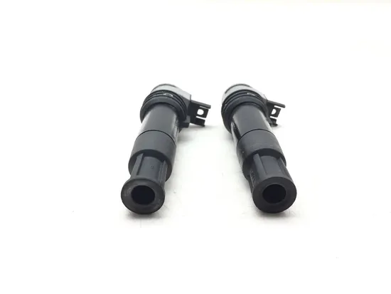 Ignition Coil Set 2007 BMW R1200GS 3149