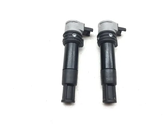 Ignition Coil Set 2007 BMW R1200GS 3149
