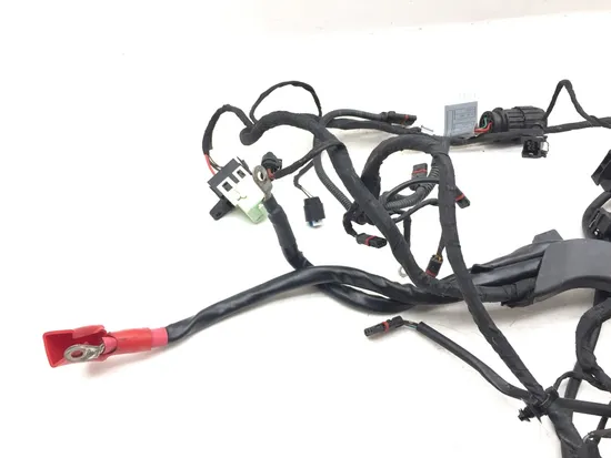 Main Engine Wiring Harness 2007 BMW R1200GS 3149