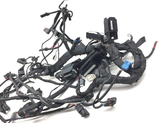 Main Engine Wiring Harness 2007 BMW R1200GS 3149