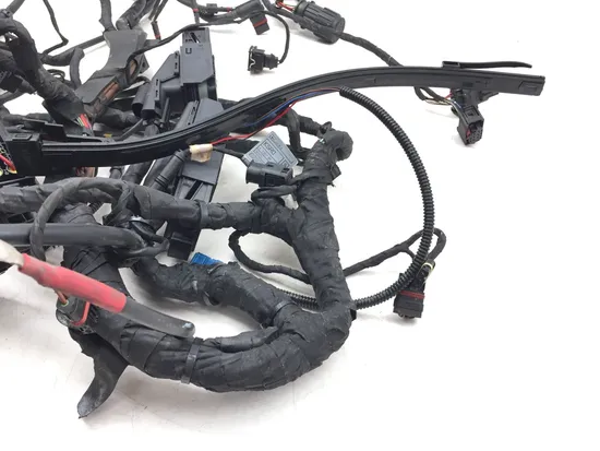 Main Engine Wiring Harness 2007 BMW R1200GS 3149