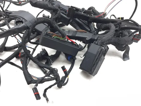 Main Engine Wiring Harness 2007 BMW R1200GS 3149