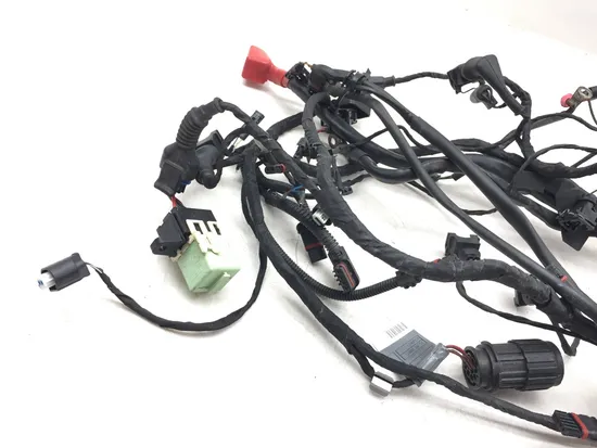 Main Engine Wiring Harness 2007 BMW R1200GS 3149