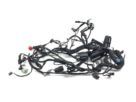 Main Engine Wiring Harness 2007 BMW R1200GS 3149