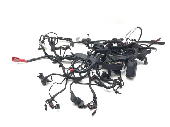 Main Engine Wiring Harness 2007 BMW R1200GS 3149