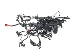 Main Engine Wiring Harness 2007 BMW R1200GS 3149
