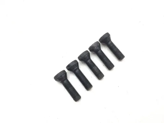 Lug Nuts 2007 BMW R1200GS 3149